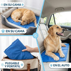 Manta GEL refrigerante para Perros y Gatos